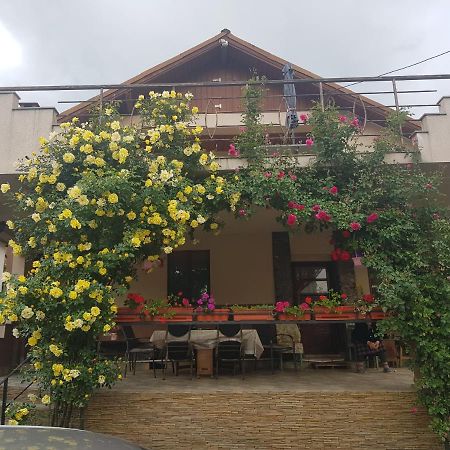 Casa Delia Hotell Călimăneşti Exteriör bild