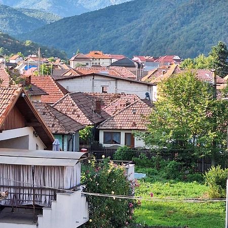 Casa Delia Hotell Călimăneşti Exteriör bild