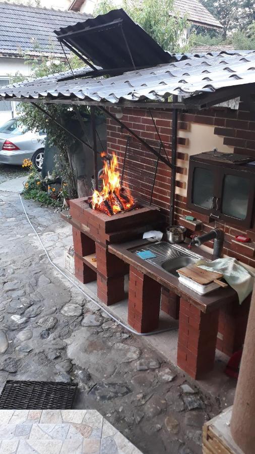 Casa Delia Hotell Călimăneşti Exteriör bild