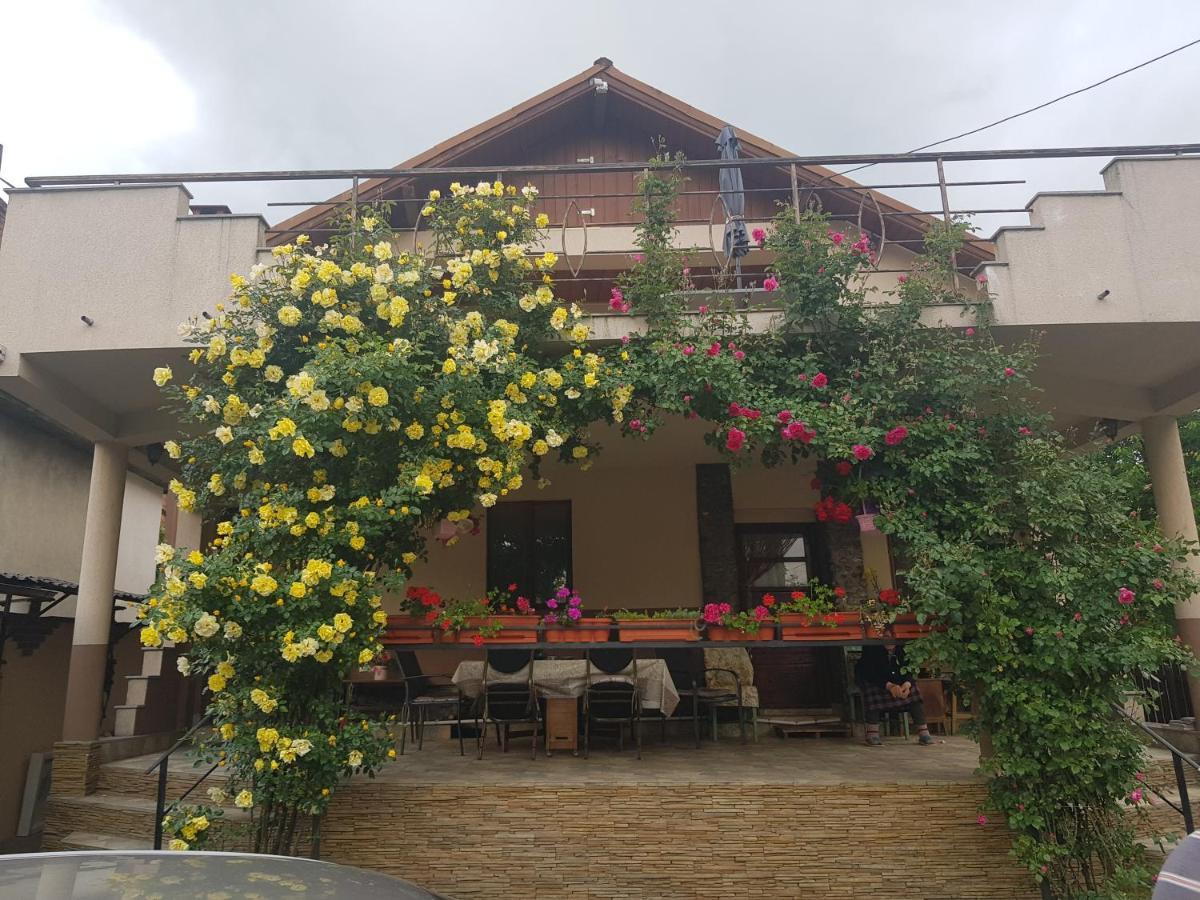 Casa Delia Hotell Călimăneşti Exteriör bild
