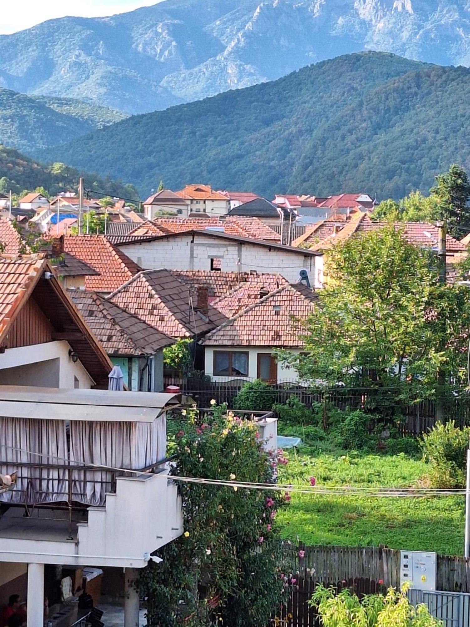 Casa Delia Hotell Călimăneşti Exteriör bild