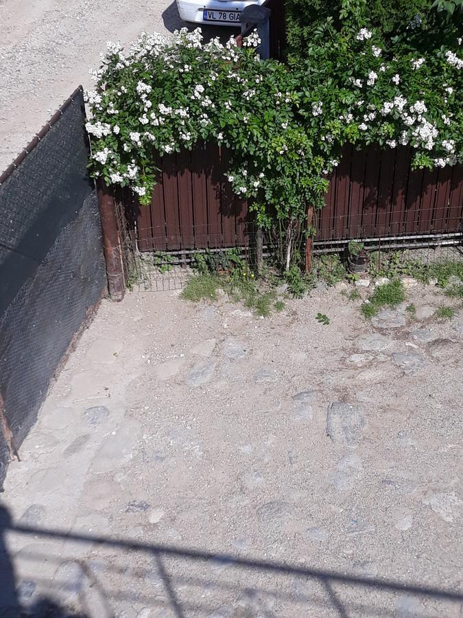 Casa Delia Hotell Călimăneşti Exteriör bild