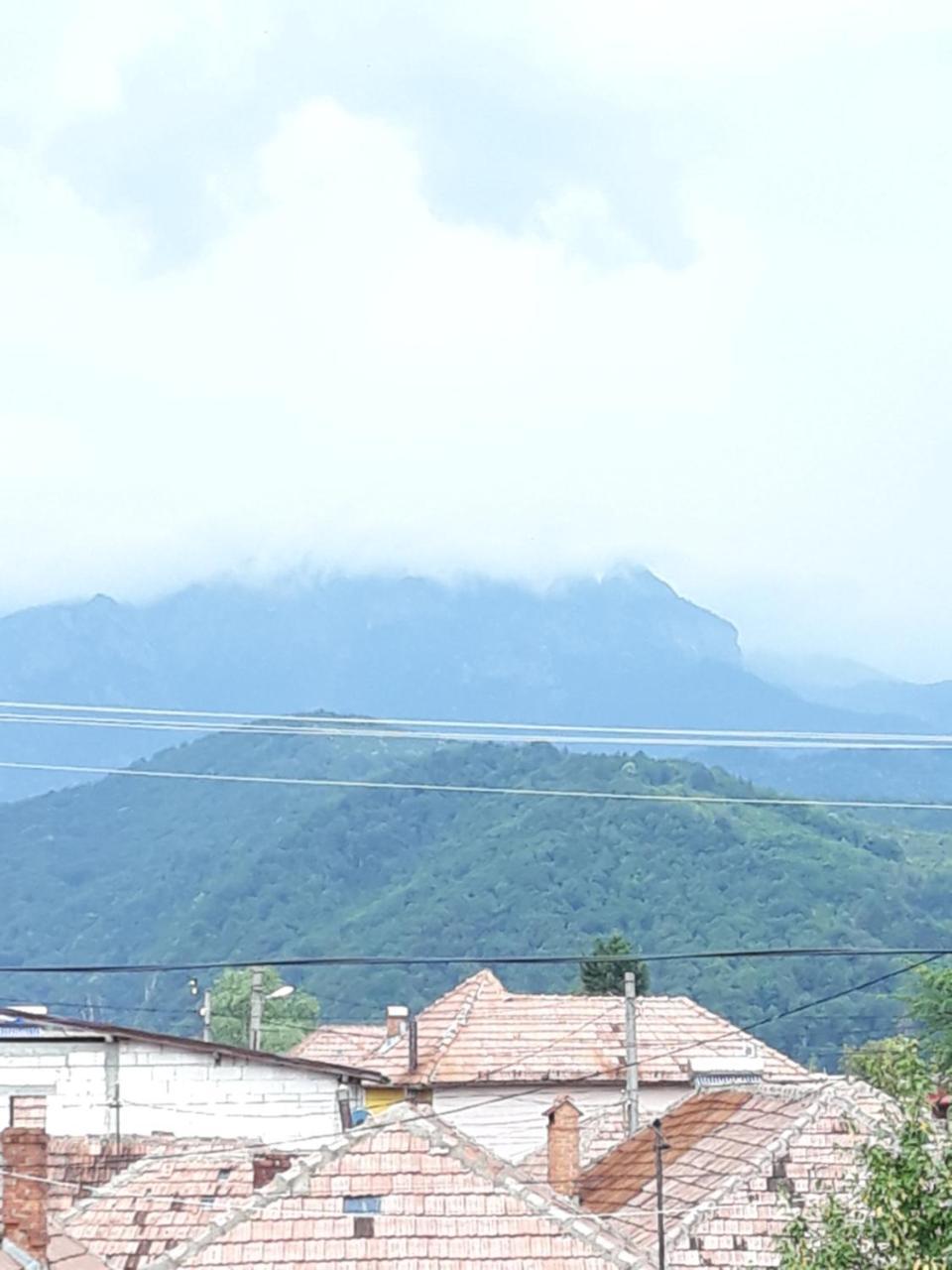 Casa Delia Hotell Călimăneşti Exteriör bild